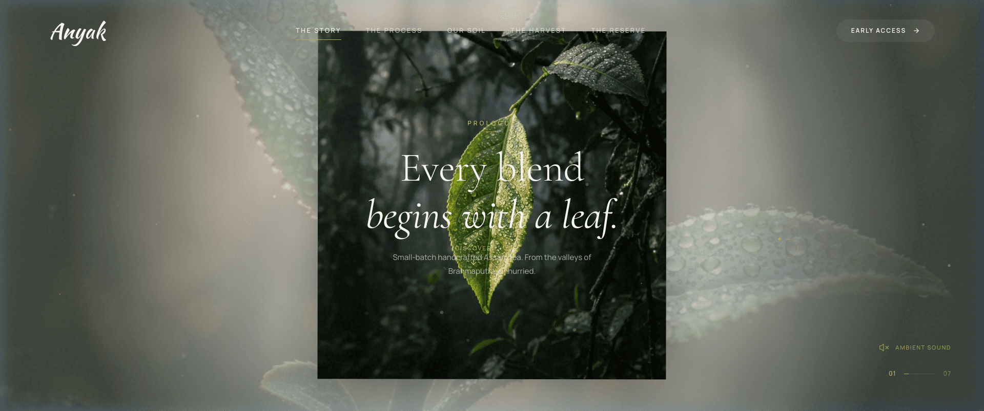 Anyak — Handcrafted Assam Tea Storytelling